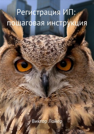 Обложка книги «Регистрация ИП: пошаговая инструкция»