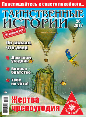Обложка книги «Таинственные истории №26/2017»