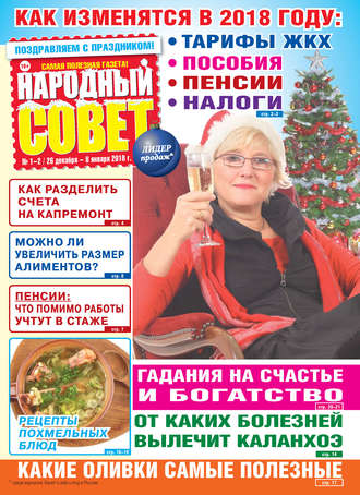 Обложка книги «Народный совет №01-02/2018»