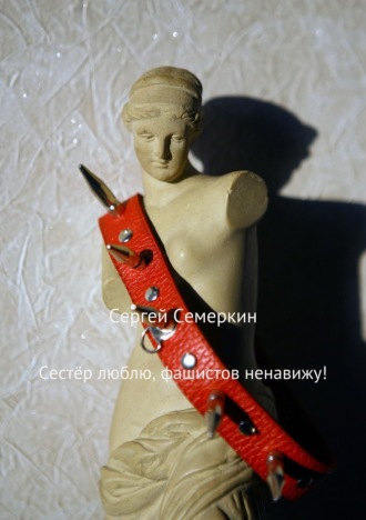 Обложка книги «Сестёр люблю, фашистов ненавижу!»