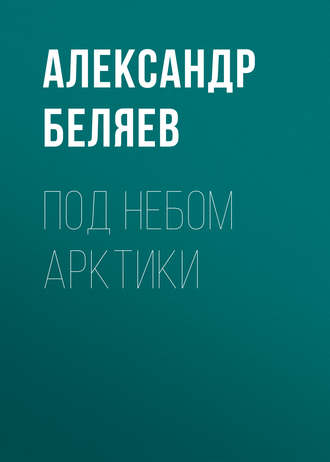 Обложка книги «Под небом Арктики»