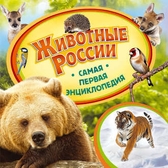 Обложка книги «Животные России»
