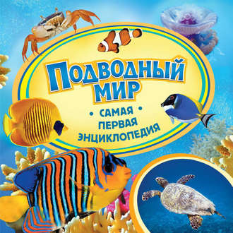Обложка книги «Подводный мир»