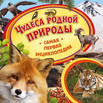 Обложка книги «Чудеса родной природы»