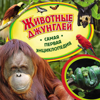 Обложка книги «Животные джунглей»