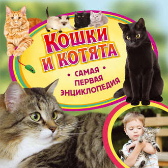 Обложка книги «Кошки и котята»