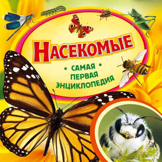 Обложка книги «Насекомые»