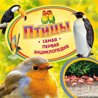 Обложка книги «Птицы»