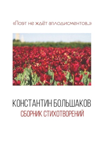 Константин Большаков. Поэт не ждёт аплодисментов… Сборник стихотворений