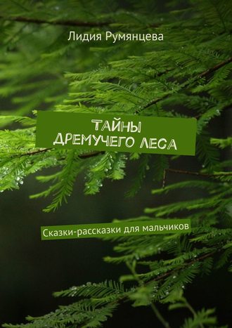 Обложка книги «Тайны дремучего леса. Сказки-рассказки для мальчиков»