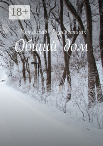 Обложка книги «Общий дом»