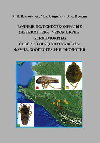 Обложка книги «Водные полужесткокрылые (Heteroptera: Nepomorpha, Gerromorpha) Северо-Западного Кавказа: фауна, зоогеография, экология»