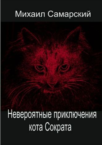 Обложка книги «Невероятные приключения кота Сократа»