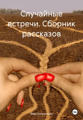 Обложка книги «Случайные встречи. Сборник рассказов»