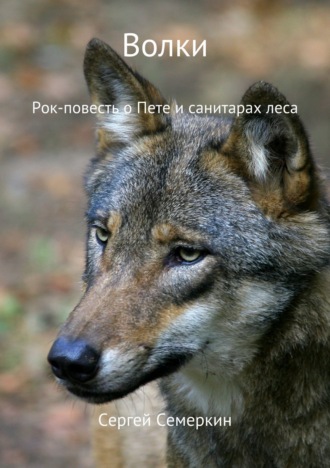 Обложка книги «Волки»