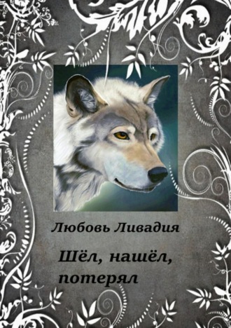 Обложка книги «Шёл, нашёл, потерял»