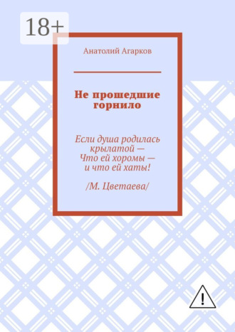 Обложка книги «Не прошедшие горнило»