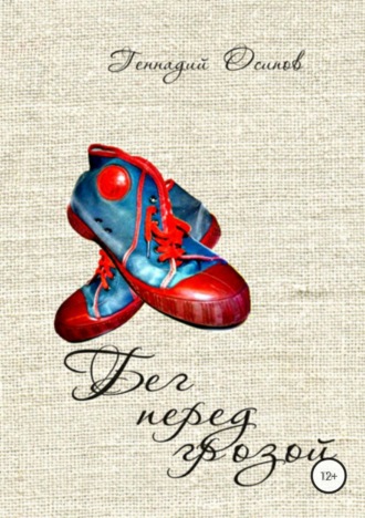 Обложка книги «Бег перед грозой»