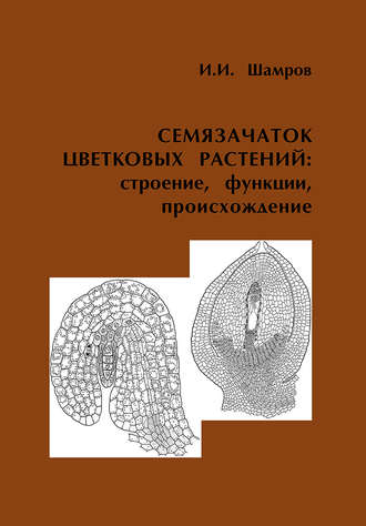 Обложка книги «Семязачаток цветковых растений: строение, функции, происхождение»