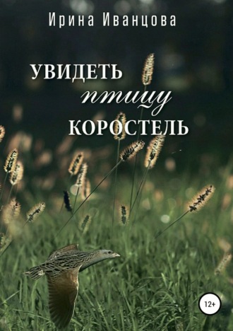 Обложка книги «Увидеть птицу коростель»