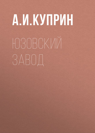 Обложка книги «Юзовский завод»