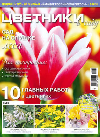 Обложка книги «Цветники в саду №4/2018»