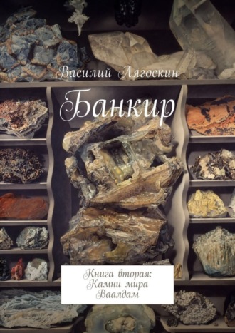 Василий Лягоскин. Банкир. Книга вторая: Камни мира Ваалдам