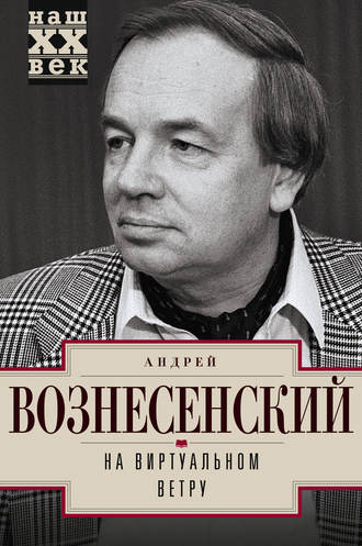 Обложка книги «На виртуальном ветру»