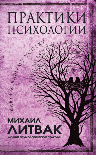 Обложка книги «Практики психологии. Ключ к вашему успеху»