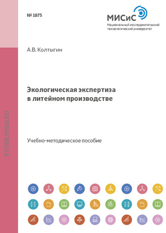 Андрей Колтыгин. Экологическая экспертиза в литейном производстве