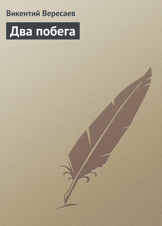 Обложка книги «Два побега»