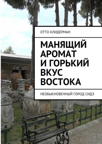 Обложка книги «Манящий аромат и горький вкус Востока. Необыкновенный город Сидэ»