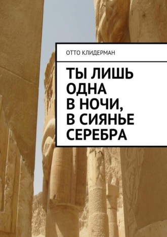Обложка книги «Ты лишь одна в ночи, в сиянье серебра»