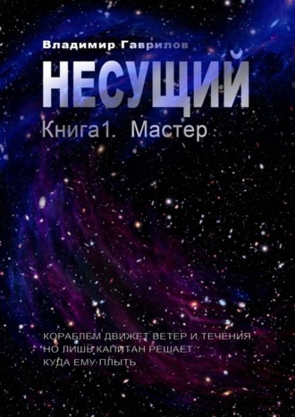 Владимир Гаврилов. Несущий. Книга 1. Мастер