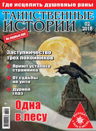 Обложка книги «Таинственные истории №02/2018»