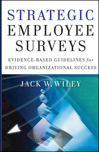 Jack  Wiley. Strategic Employee Surveys. Evidence-based Guidelines for Driving Organizational Success