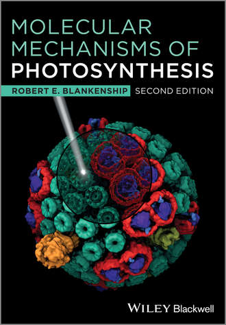 Robert Blankenship E.. Molecular Mechanisms of Photosynthesis