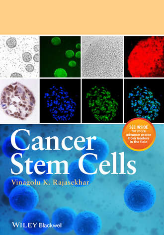 Vinagolu Rajasekhar K.. Cancer Stem Cells