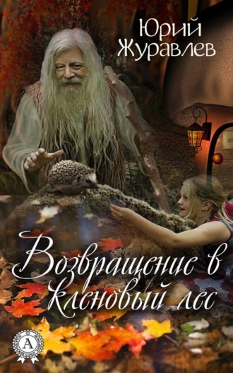 Обложка книги «Возвращение в кленовый лес»