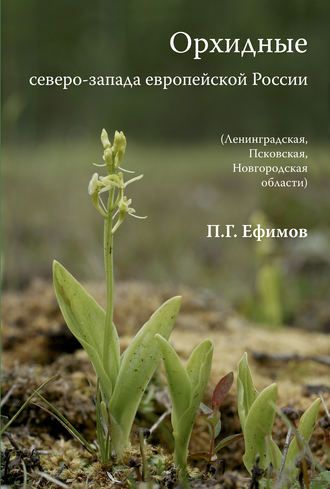 Обложка книги «Орхидные северо-запада европейской России»