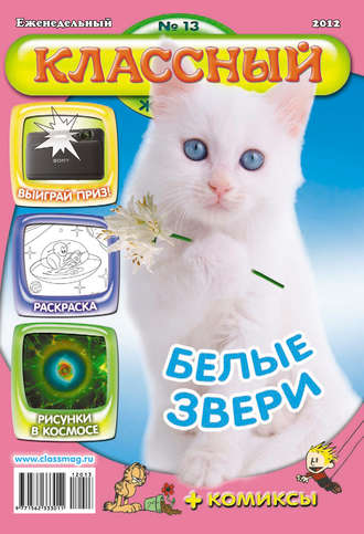 Обложка книги «Классный журнал №13/2012»