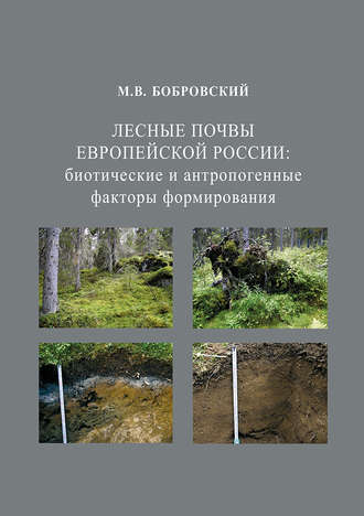 Обложка книги «Лесные почвы Европейской России: биотические и антропогенные факторы формирования»