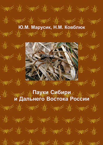 Обложка книги «Пауки Сибири и Дальнего Востока России»