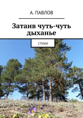 Обложка книги «Затаив чуть-чуть дыханье. Стихи»