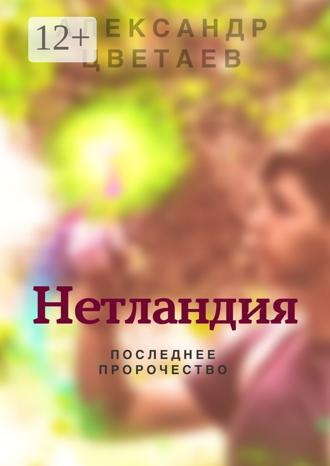 Обложка книги «Нетландия. Последнее пророчество»