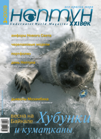 Обложка книги «Нептун №3/2009»