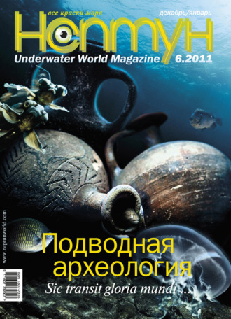 Обложка книги «Нептун №6/2011»