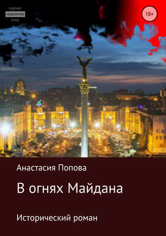 Обложка книги «В огнях Майдана»