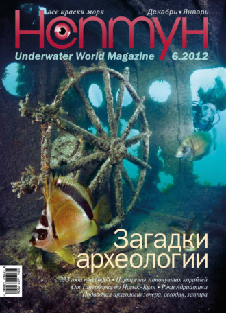 Обложка книги «Нептун №6/2012»