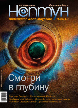 Обложка книги «Нептун №1/2013»